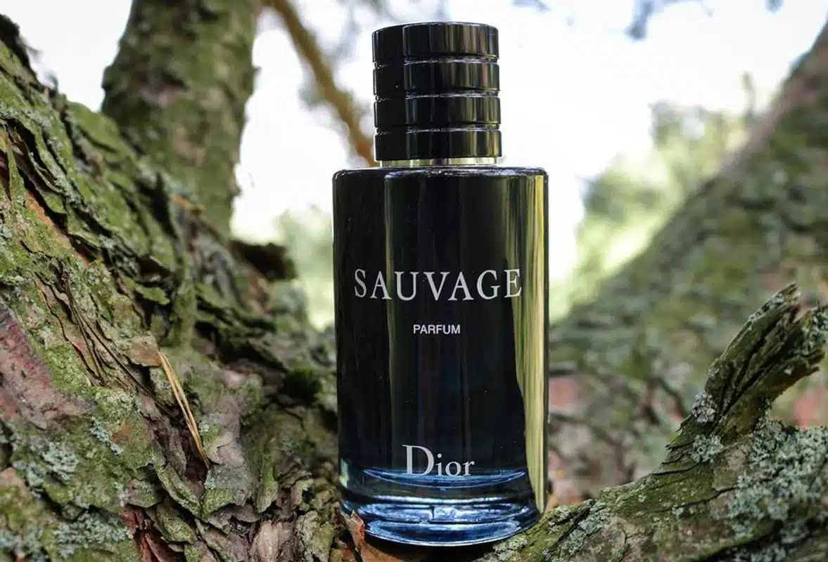 Nước Hoa Nam Christian Dior Sauvage Parfum