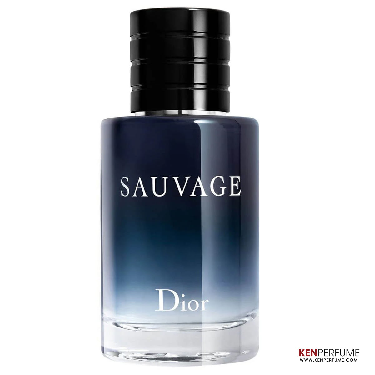Cẩm nang về các dòng nước hoa Dior Sauvage mà bạn chưa biết
