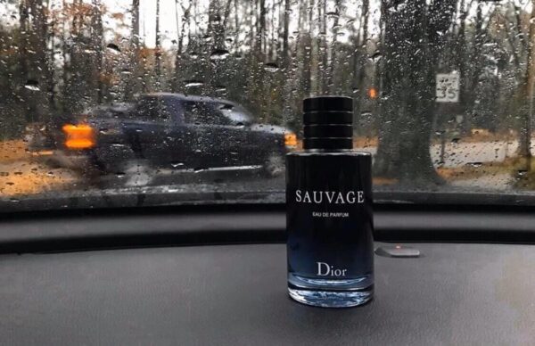 Nước Hoa Nam Christian Dior Sauvage EDP