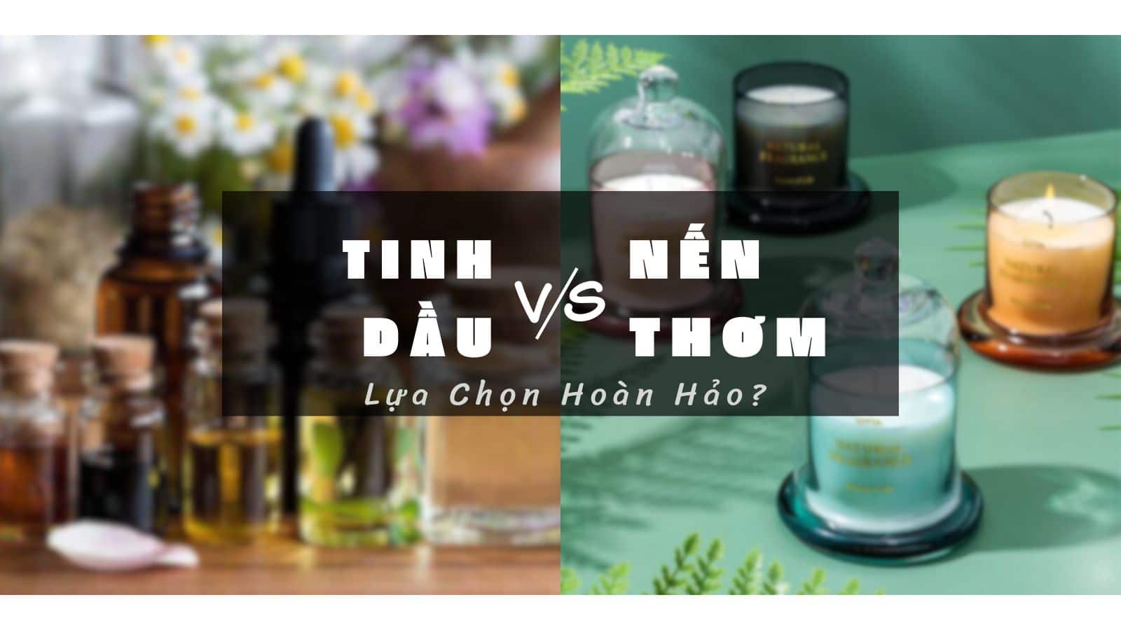 So sánh nến thơm và tinh dầu. Đâu là lựa chọn hoàn hảo?